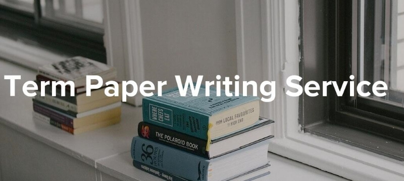 The text from the term paper writing service is of high-quality.